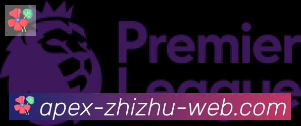 蜘蛛直播合作伙伴